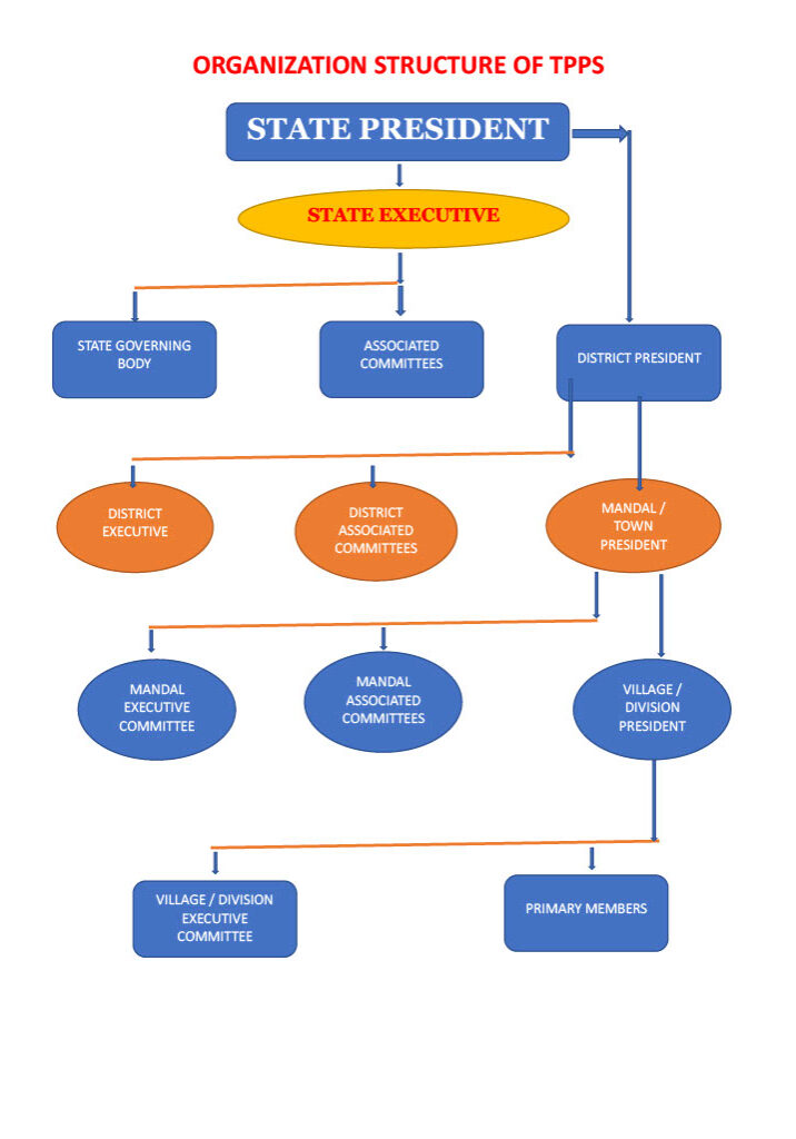 ORG STRUCTURE